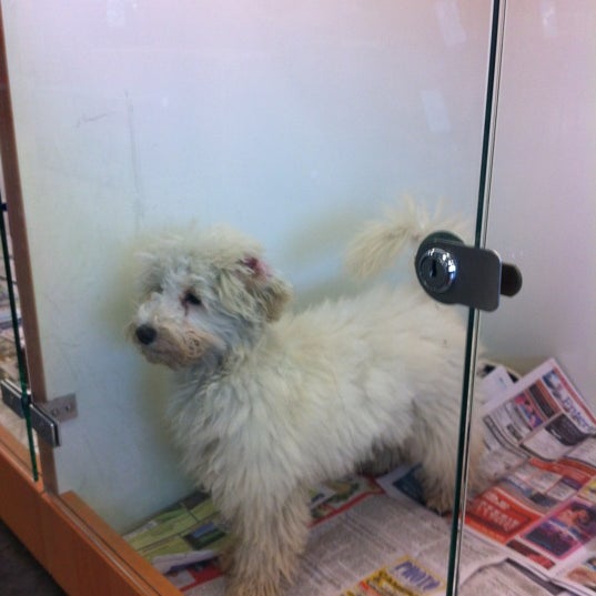 the pet center lower hutt