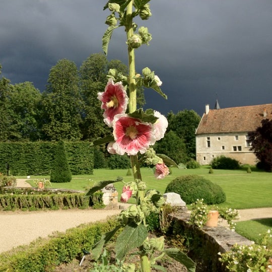 7/15/2012 tarihinde Aymeri d.ziyaretçi tarafından Château de Condé'de çekilen fotoğraf