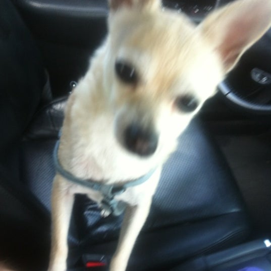 Rite Aid Pharmacy in Carpinteria