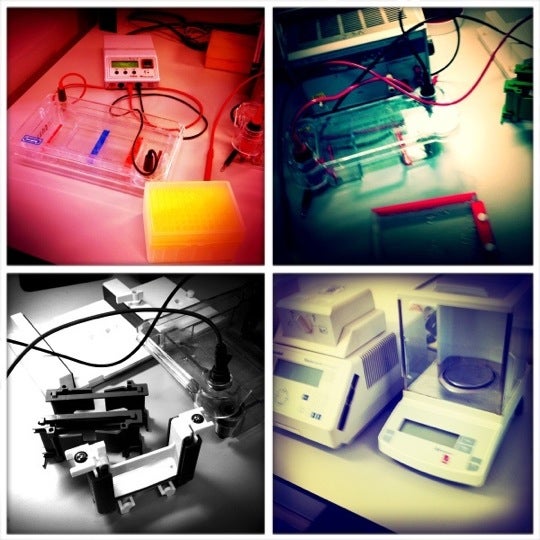 Центр биоинженерия. Фиц биотехнологии ран логотип. Политехнический музей логотип. Кип инновационный центр биотехнологий. Биотехнологический центр шебекино.