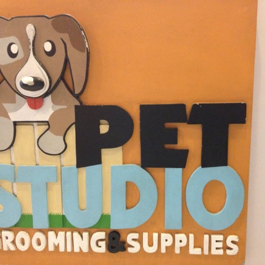 Pet's studio