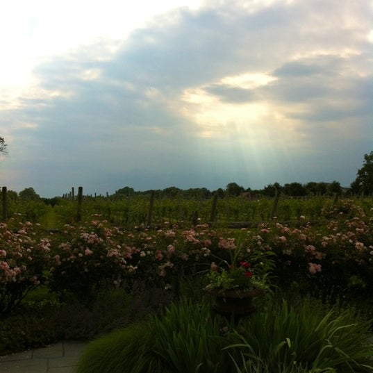 Photo taken at Crossing Vineyards and Winery by Stephanie C. on 6/9/2012