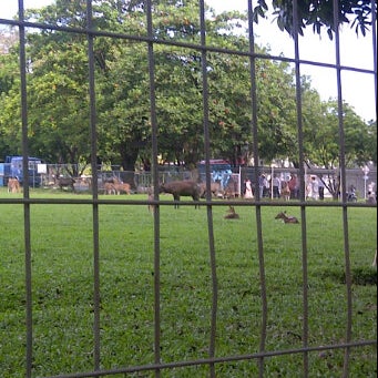 Photos At Taman Rusa Pt Pusri Palembang 1 Tip From 100 Visitors