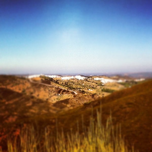 Higuera La Real 32 visitors