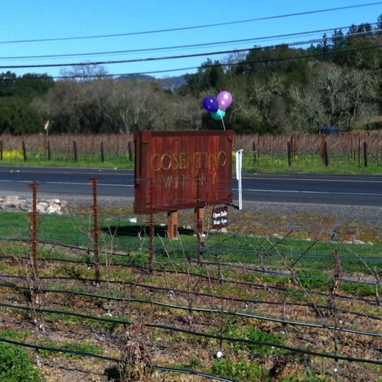 Photo taken at Cosentino Winery by Daniel S. on 2/19/2012