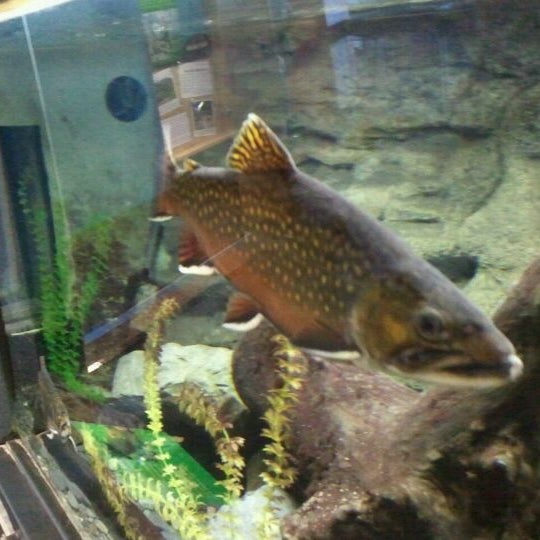 Photo taken at ECHO Lake Aquarium &amp; Science Center by Nate O. on 3/10/2012