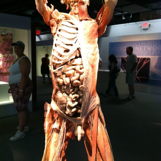 Photo taken at BODIES...The Exhibition by Emalee T. on 7/14/2012