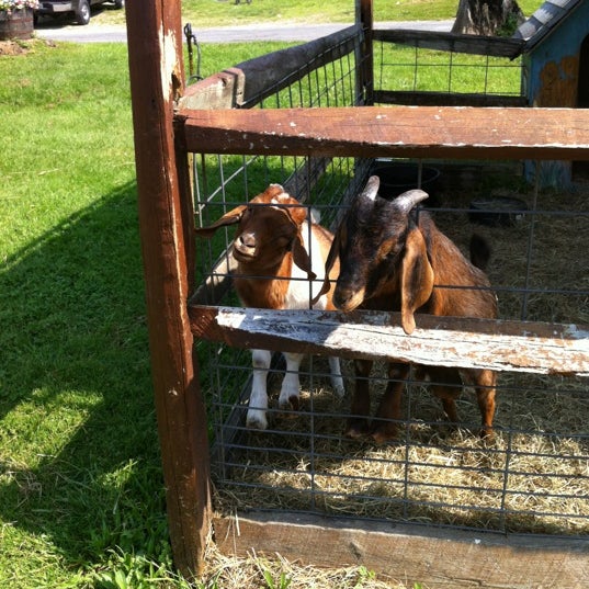 Снимок сделан в Whitney&#39;s Farm Market пользователем Gregg W. 5/28/2012