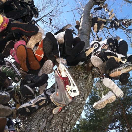 Shoe Tree On 131 Kalkaska, MI