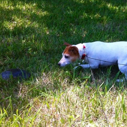 Photos at Elm Creek Rest Area Rest Area in Brooklyn Park Maple Grove