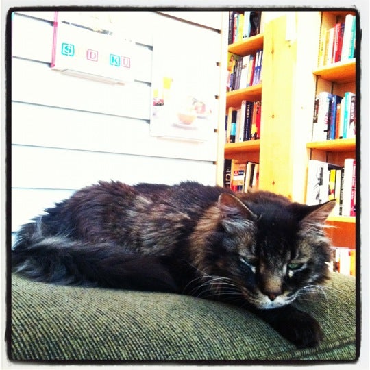 Dolly's Bookstore Bookstore