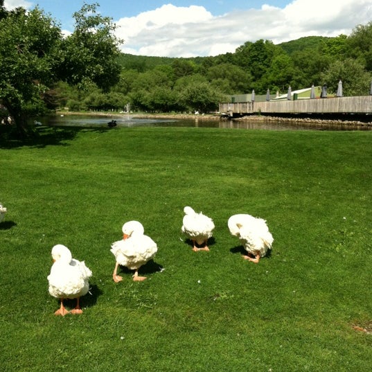 6/7/2012にAprylがFly Creek Cider Mill &amp; Orchardで撮った写真