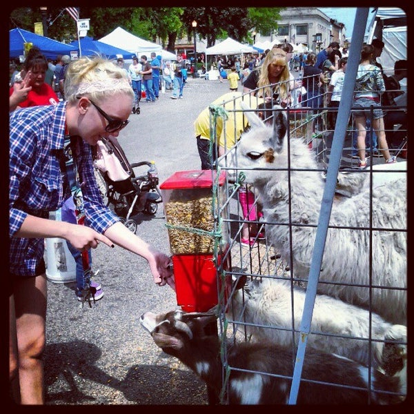 Baraboo Fair On The Square (Now Closed) Arts and Entertainment
