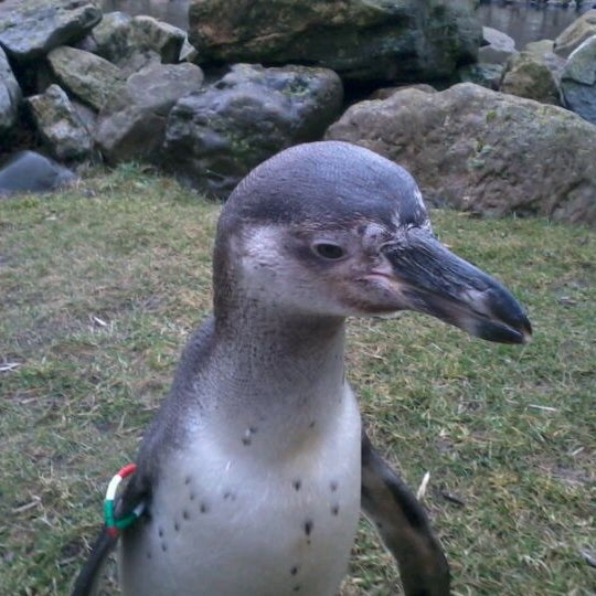 Photo taken at Aqua Zoo by Dick B. on 2/28/2012