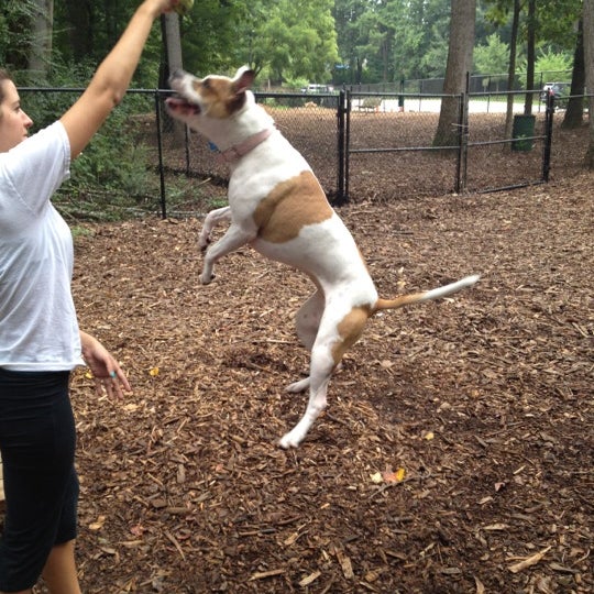 sweat mountain dog park