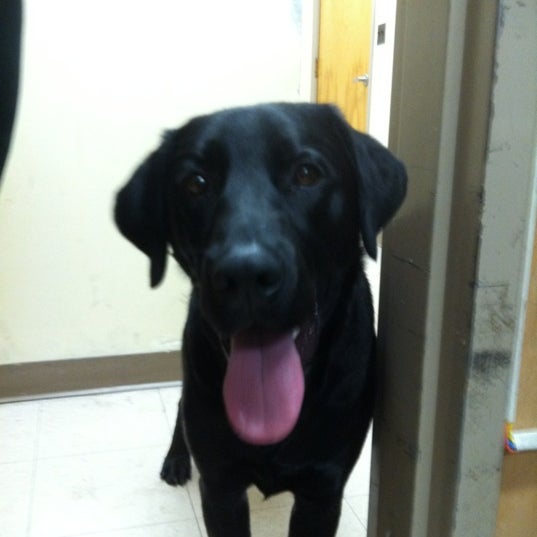 Dumont Police Department Police Station in Dumont