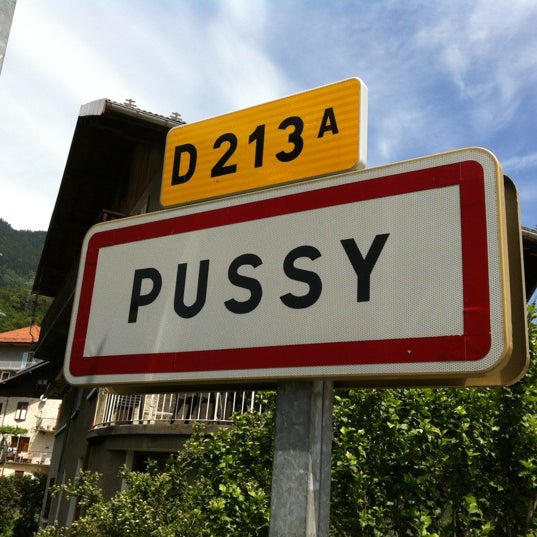 Pussy Pussy Pussy