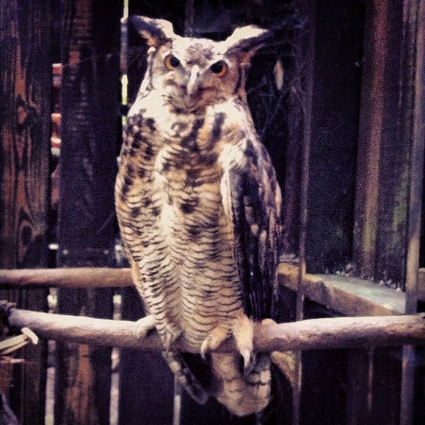 8/17/2012 tarihinde Garapziyaretçi tarafından Denison Pequotsepos Nature Center'de çekilen fotoğraf