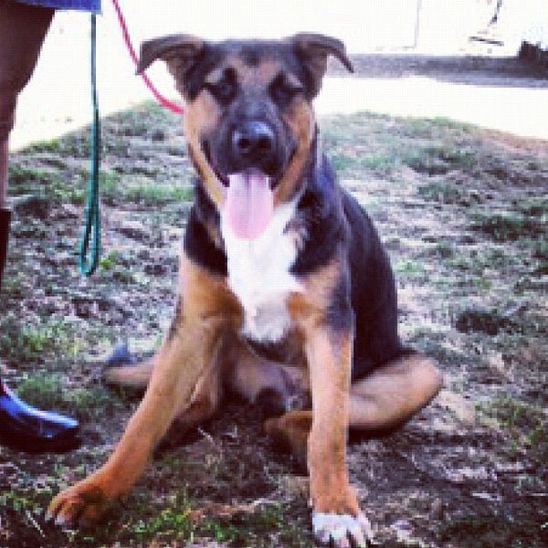 Photos at Freeman Toyota Auto Dealership in Santa Rosa