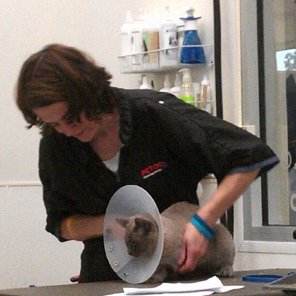 Petco State College, PA