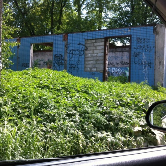 Заброшенный газон