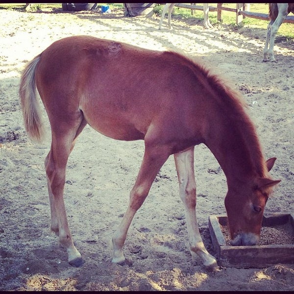Bike Depot Bike Rental in Chincoteague Island