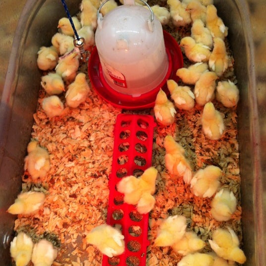 Tractor Supply Co. Rural Hall, NC