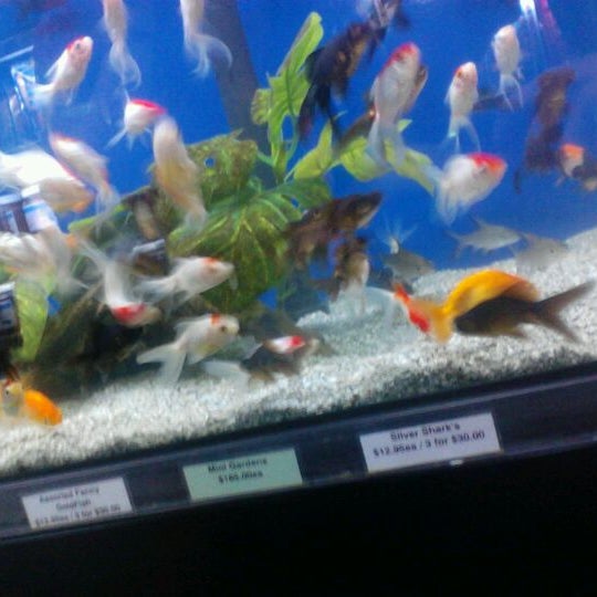 Smith's Aquarium 23952425 Sandgate Rd.