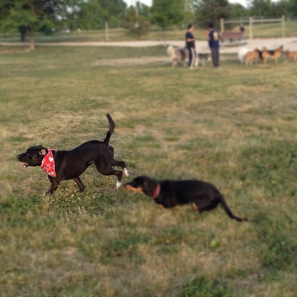 Photo taken at Swift Run Dog Park by Chad W. on 6/7/2012