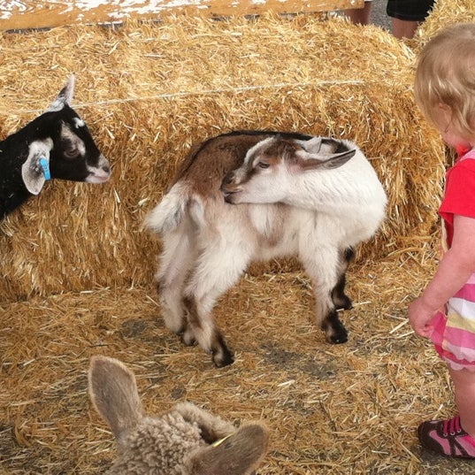 Foto diambil di Kingsland Farmers Market oleh Trond F. pada 5/21/2012