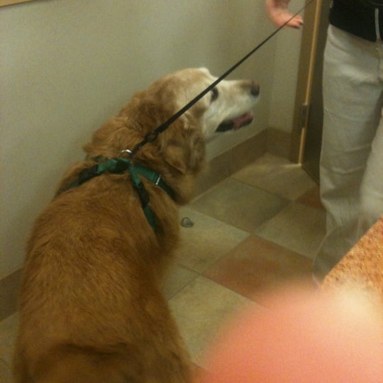 Photo taken at Countryside Veterinary Hospital by Susan M. on 5/27/2012