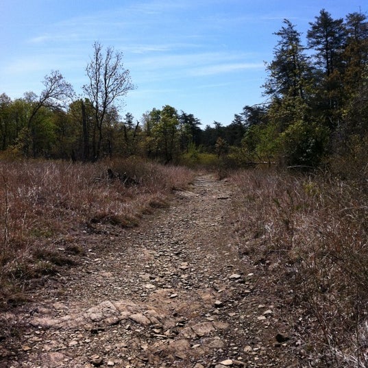 Soldiers Delight NEA Owings Mills, MD