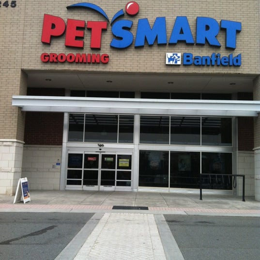 perimeter petsmart