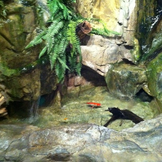 Photo taken at Old Town Aquarium by Selly B. on 4/21/2012