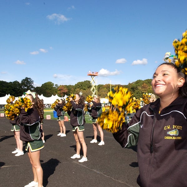 Bethpage Federal Credit Union Stadium Greenvale Ny