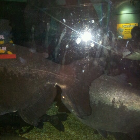 รูปภาพถ่ายที่ Oceanarium, The Bournemouth Aquarium โดย Gökhan A. เมื่อ 7/15/2012