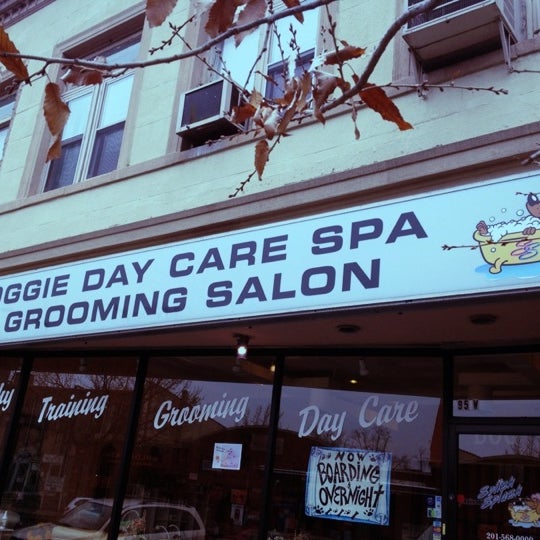 splish splash doggy daycare and spa