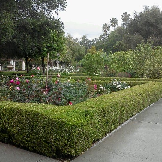 красивый сад. хелен парк+ ландшафт. искусственное сообщество лесопарк. природные сообщества. красивый парк.