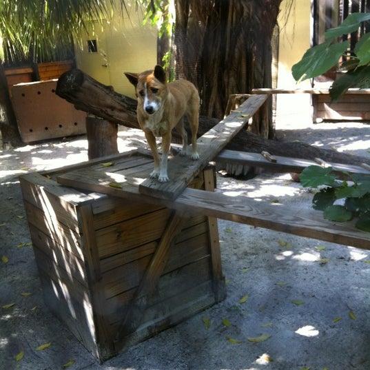 Palm Beach Zoo 33 tips