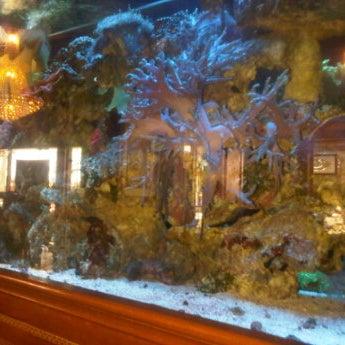 Get drunk and stare at the fish tank