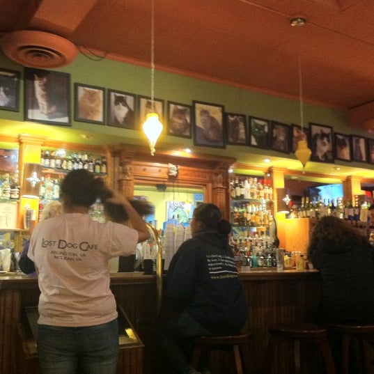 2/20/2012에 Kristopher님이 Stray Cat Bar &amp; Grill에서 찍은 사진