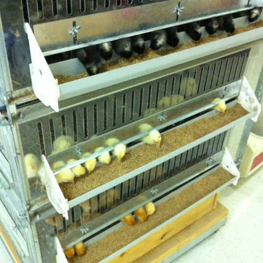 Talmage Farm Agway 3 tips