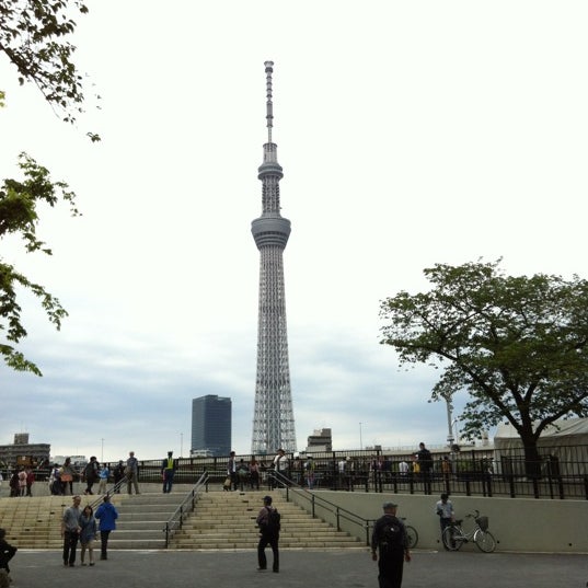 墨田区立 隅田公園 向島1 向島2 向島5
