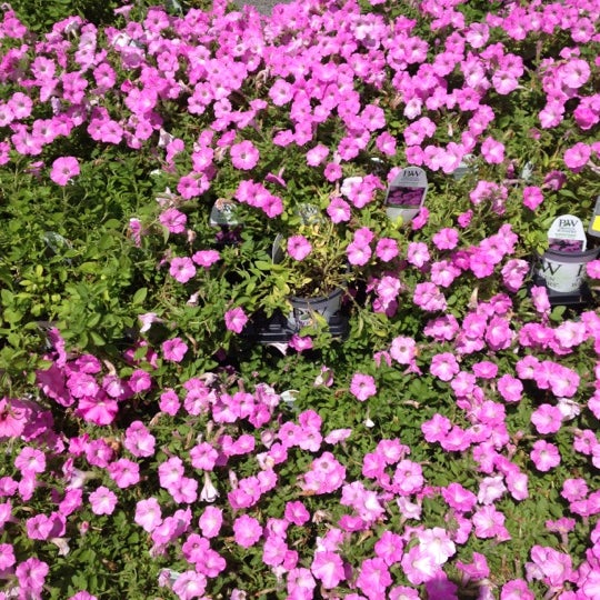 The Home Depot Easton, PA