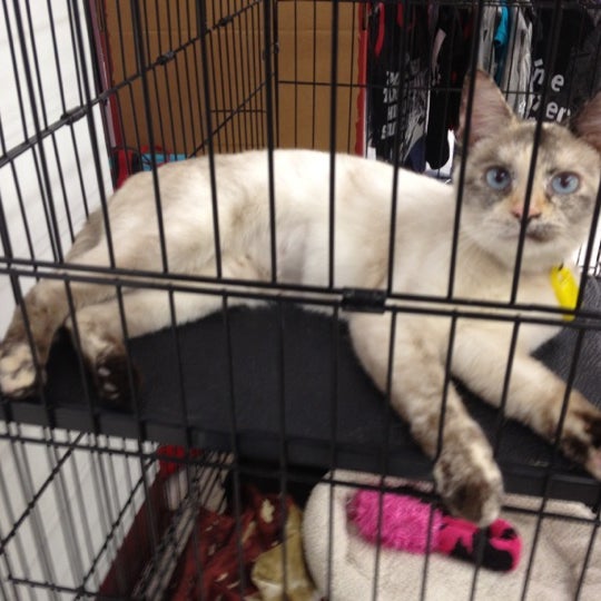 concord pet marsh road