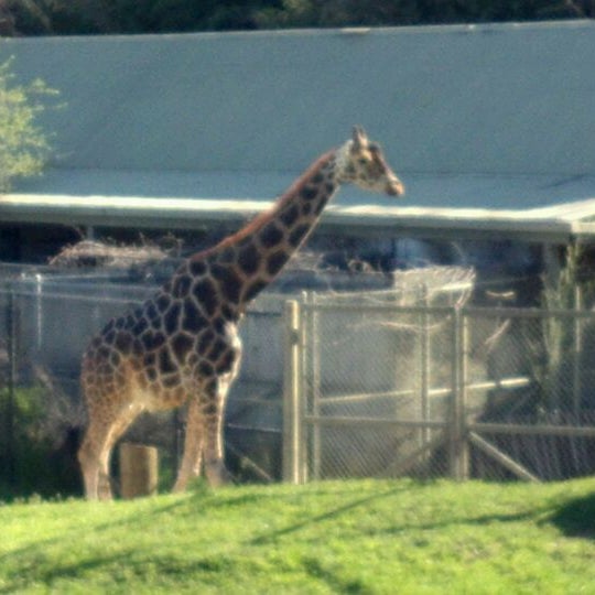 Photo taken at Cameron Park Zoo by David E. on 3/4/2012