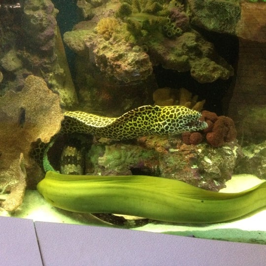 aquarium and pet center