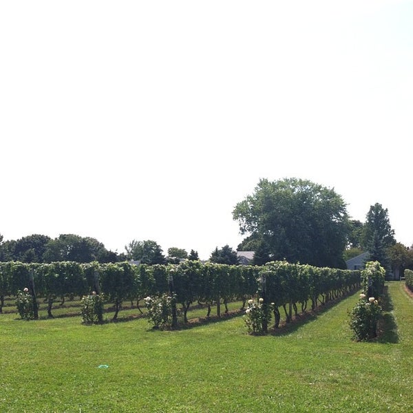 Photo taken at Peconic Bay Winery by Jared H. on 8/25/2012