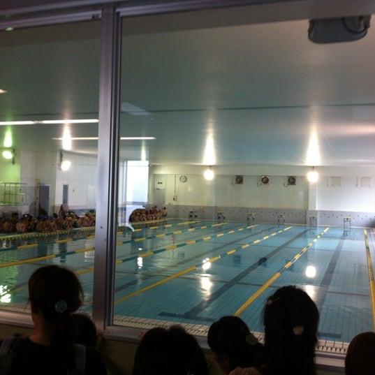 Necグリーンスイミングクラブ玉川 Scuola Di Nuoto In 川崎市中原区