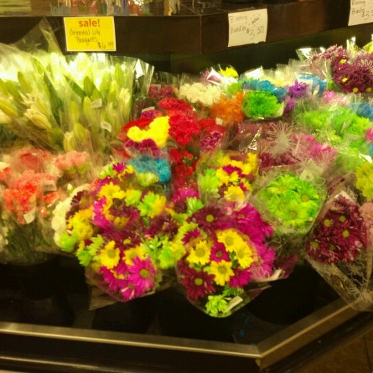 Giant Eagle Flowers Erie Pa Best Flower Site